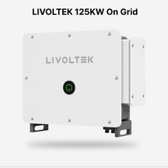 Livoltek 125KW On Grid Solar Inverter